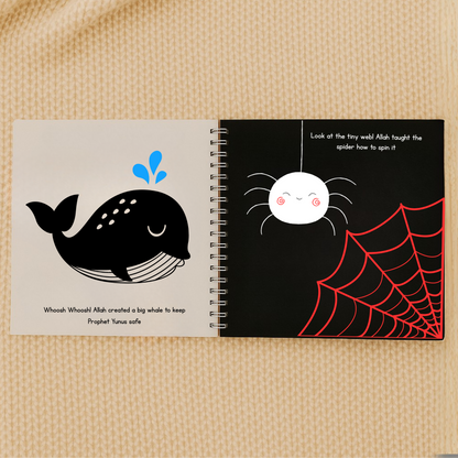 A window into Allah's world - High contrast story book