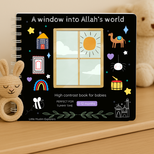 A window into Allah's world - High contrast story book